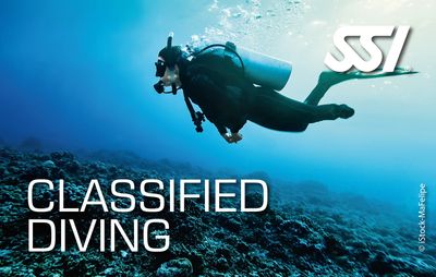 Classified Diving Instructor Seminar