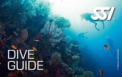 Dive Guide