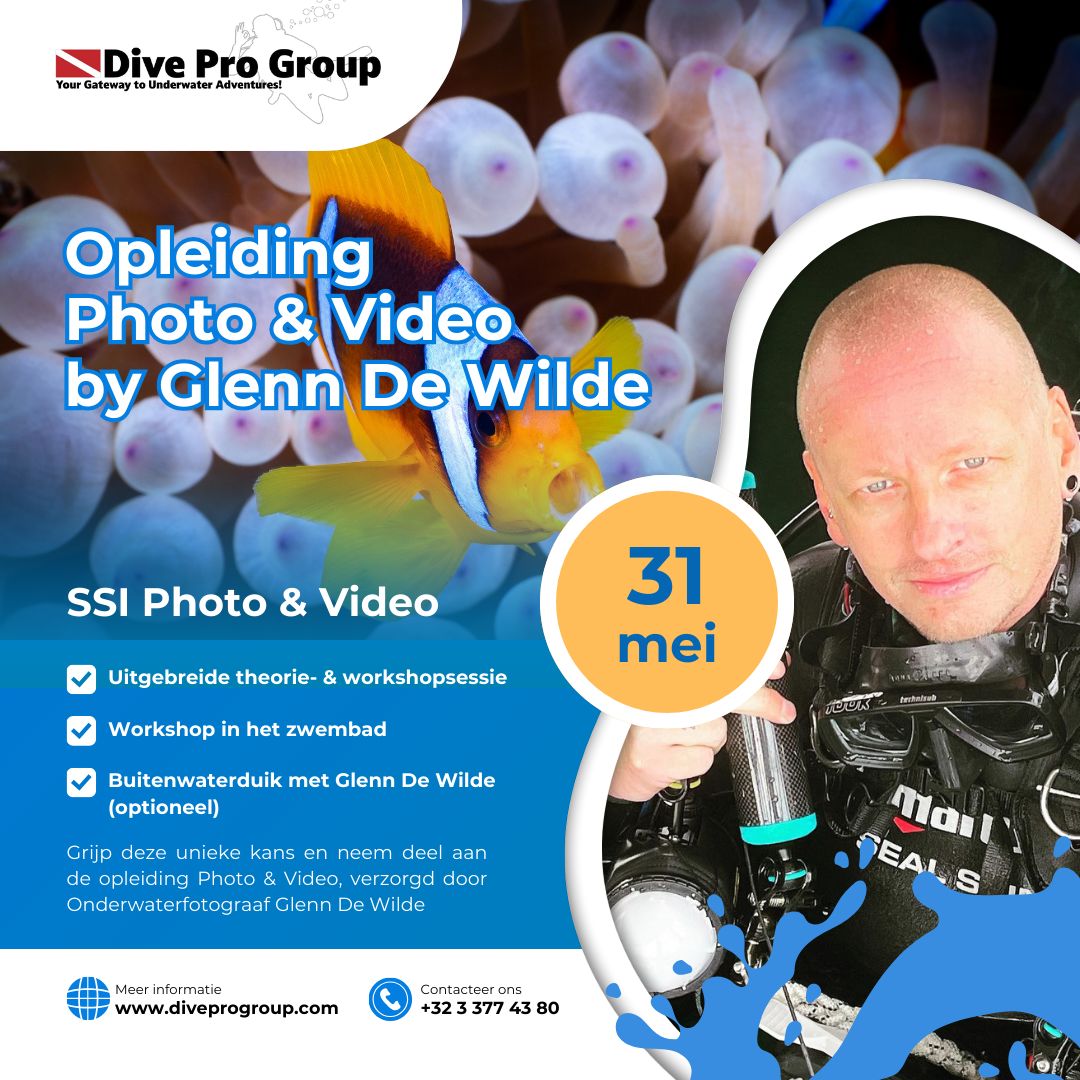 Opleiding Onderwaterfotografie met Glenn De Wilde – 31 mei 2025