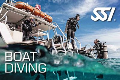 Boat Diving Specialty (Juni 2025)