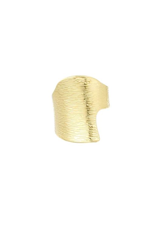 Subtiele statement ring goud roestvrij staal