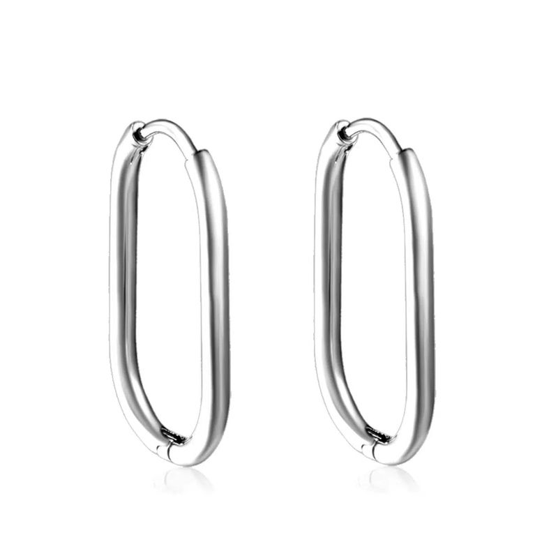 Zilveren stainless steel oorringen