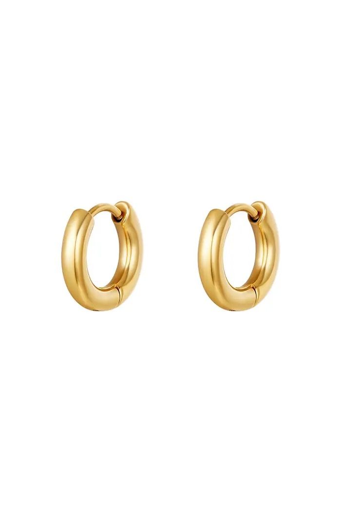 Gouden hoops basic stainless steel
