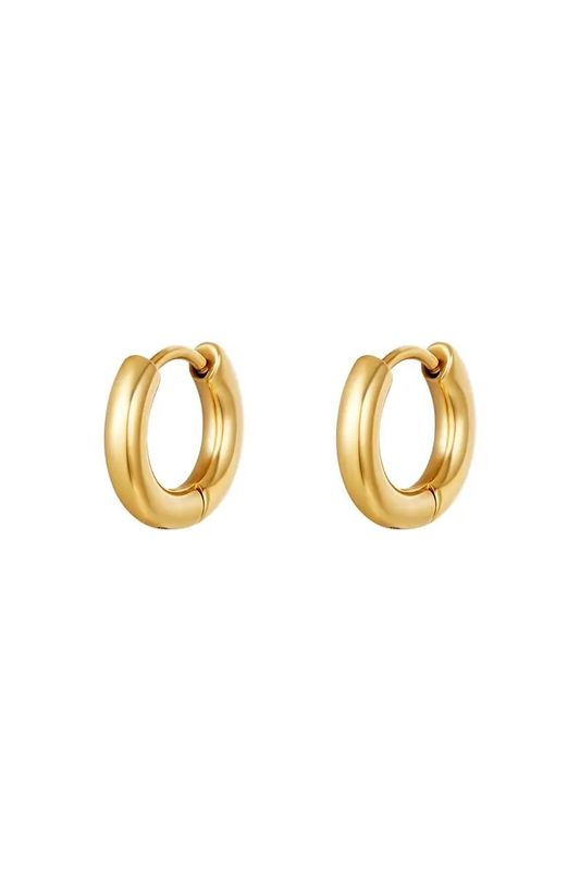 Gouden hoops basic stainless steel