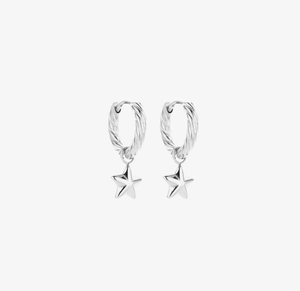 &quot;Oorbellen | Ster | Zilver  | Stainless Steel&quot;