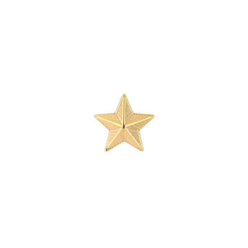 Pin | Ster | Stainless steel | Goud