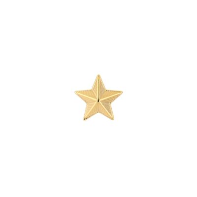Pin | Ster | Stainless steel | Goud