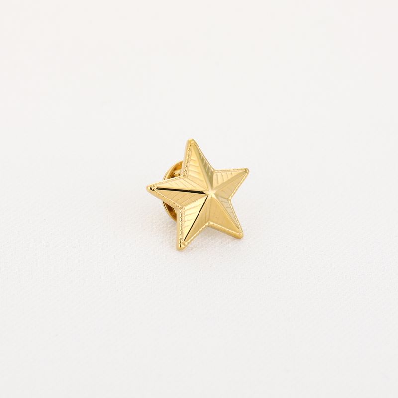 Gouden stainless steel ster pin