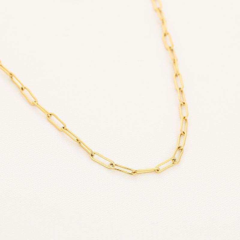 Ketting | Schakel |  Stainless steel | Goud