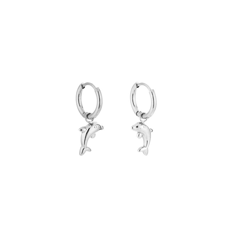 "Oorbellen | Dolfijn | Zilver | Stainless steel"