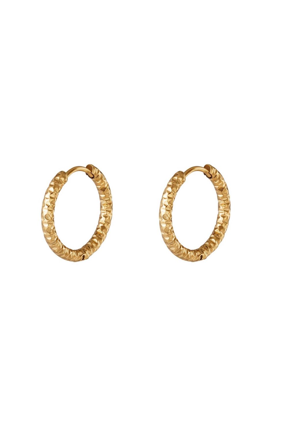 Hoops | gestructureerd | Goud | Stainless steel
