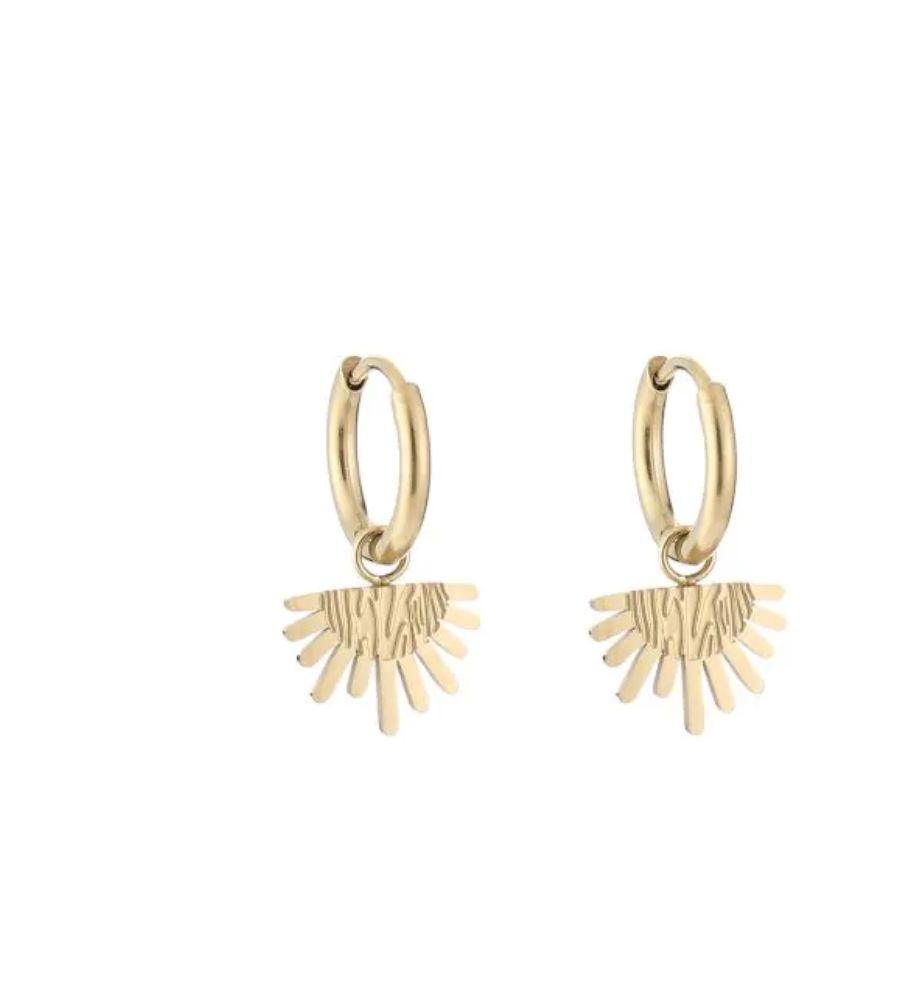 Gouden stainless steel oorringen halve zon 