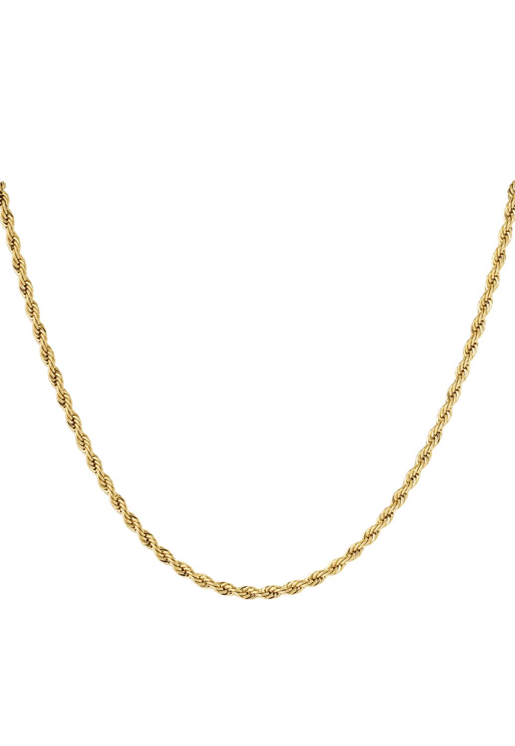 Gedraaide ketting in stainless steel goud