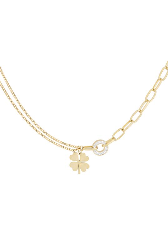 Gouden stainless steel fortune ketting