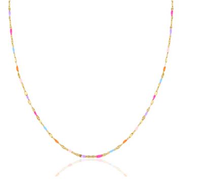 Neon ketting stainless steel