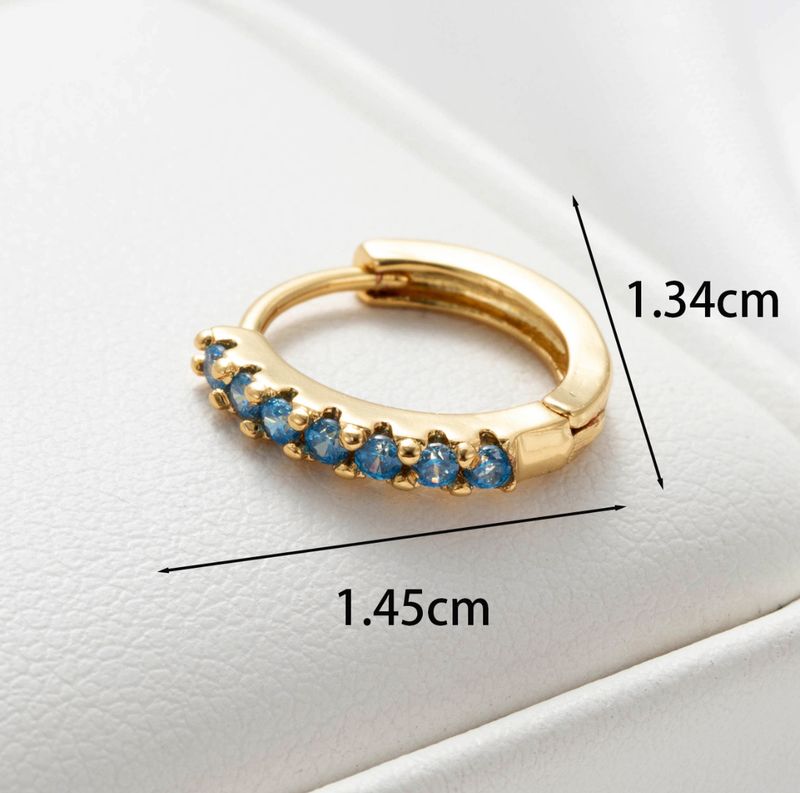 Oorbel | Hoops | Blauw &amp; Goud | Stainless steel