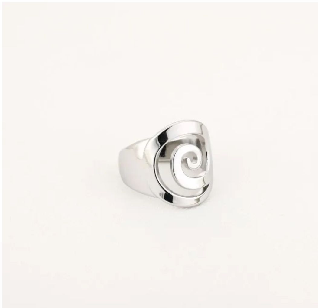 Zilveren stainless steel spiraal ring