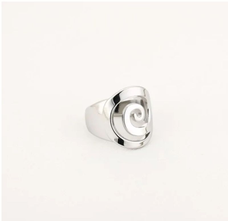 Zilveren stainless steel spiraal ring