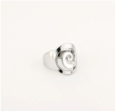Zilveren stainless steel spiraal ring