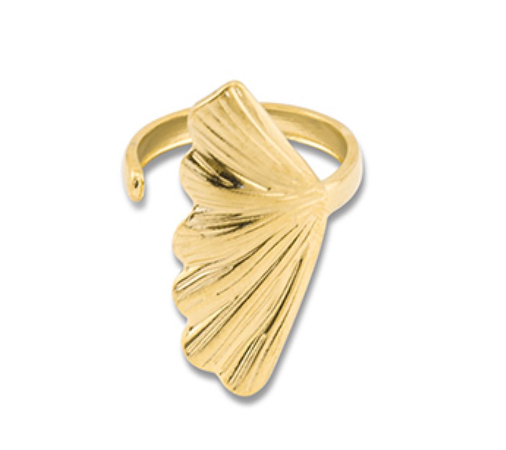 Schelp ring Stainless steel