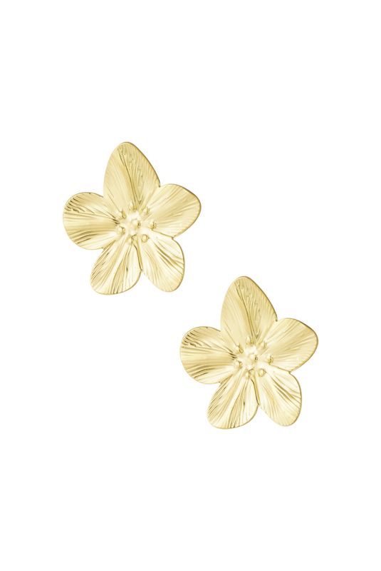Oorbellen| Solar Bloom | Goud | Stainless steel