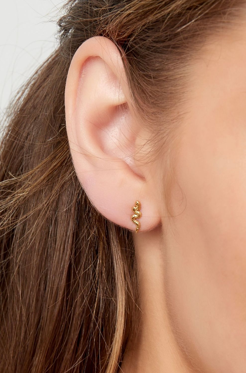 Stud | Snake | Goud | Stainless steel