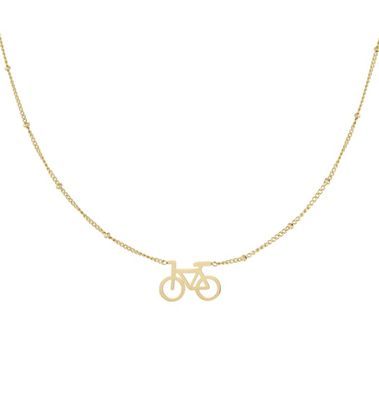 Ketting | Bike | Goud | Stainless steel