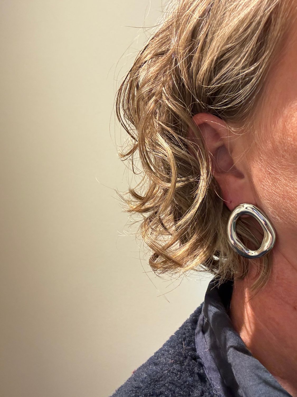 Oorbellen | Oasis Ovaal | Zilver | Stainless steel