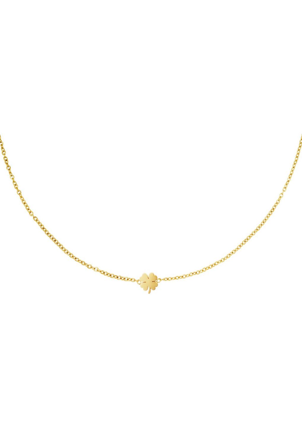 Ketting | Clover | Goud | Stainless steel