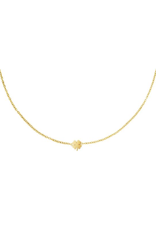 Ketting | Clover | Goud | Stainless steel
