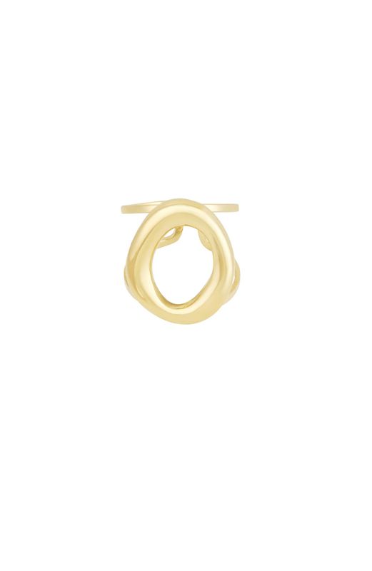 Ring | O- ring | Goud | One size |Stainless steel