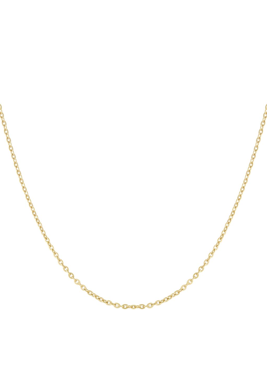 Halsketting | Fijne schakel | Goud | Stainless steel