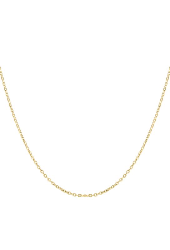 Halsketting | Fijne schakel | Goud | Stainless steel