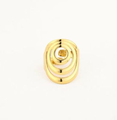 Ring spiraal goud roestvrij staal