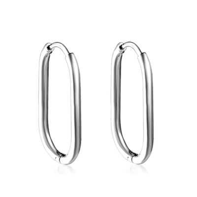 Zilveren stainless steel oorringen