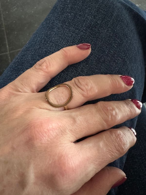 Ring | Circle | Bruin & Goud | One Size | Stainless Steel