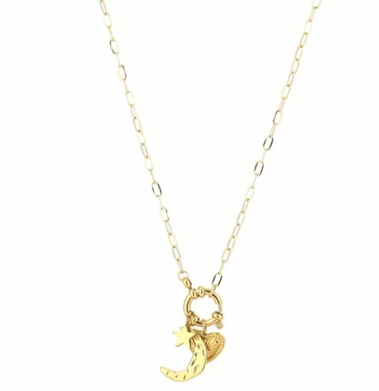 Bedelketting | Hart & Maan | Goud | Stainless steel