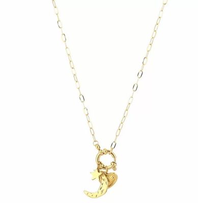 Bedelketting | Hart & Maan | Goud | Stainless steel