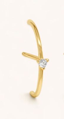 Oorbel | Ozzy | Goud | Stainless steel