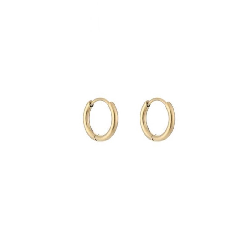 Oorbellen | Hoops | Goud | Stainless steel