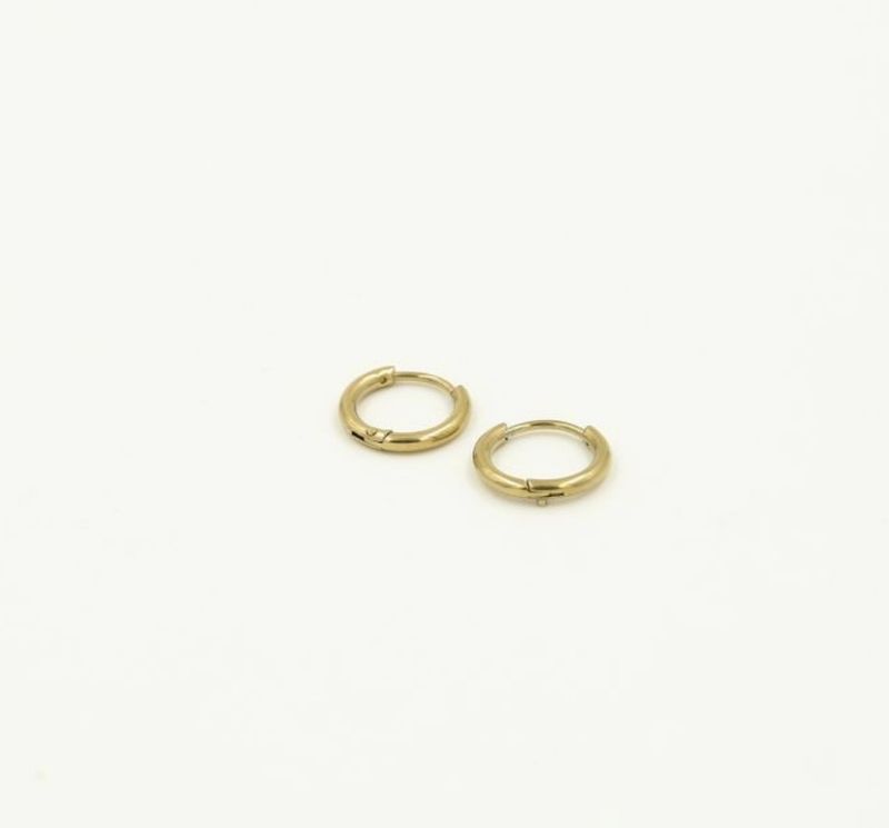 Oorbellen | Hoops | Goud | Stainless steel