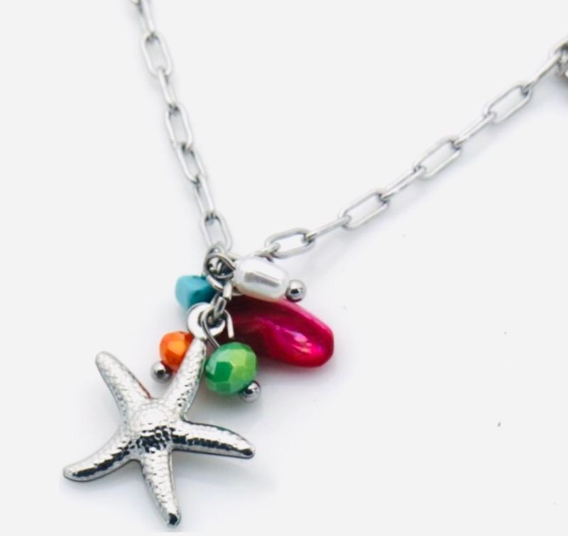 Halsketting | Seastar | Zilver | Stainless steel