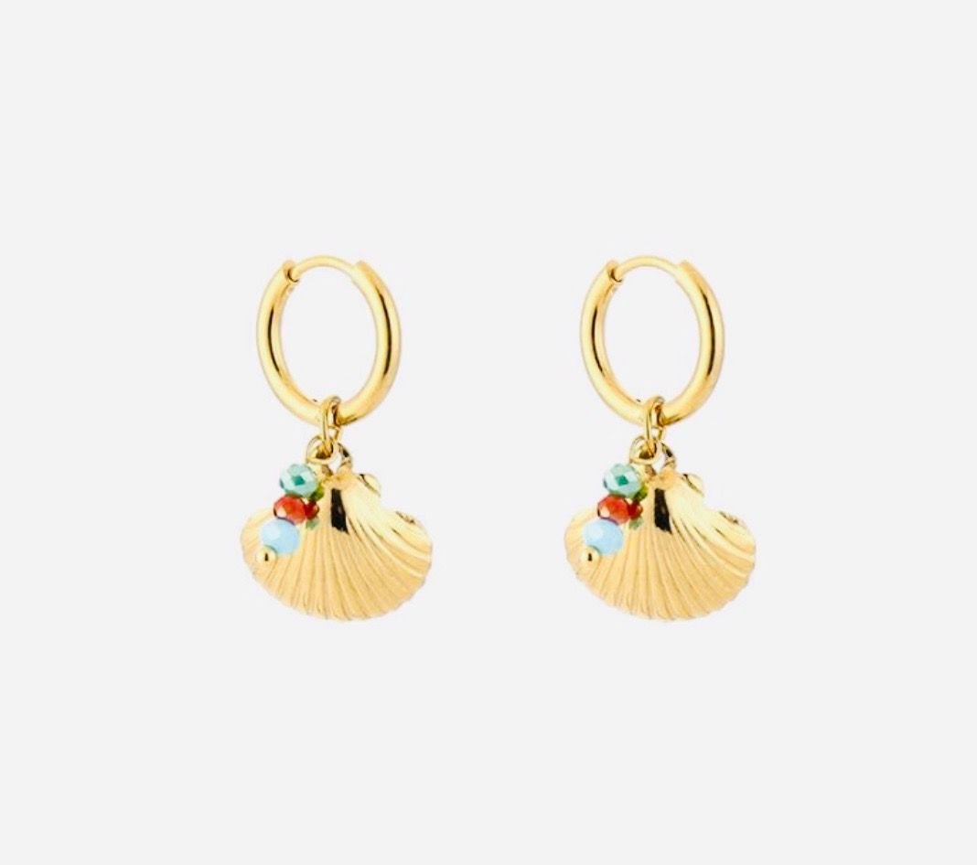 Oorbellen | Sea Shell | Goud | QStainless steel