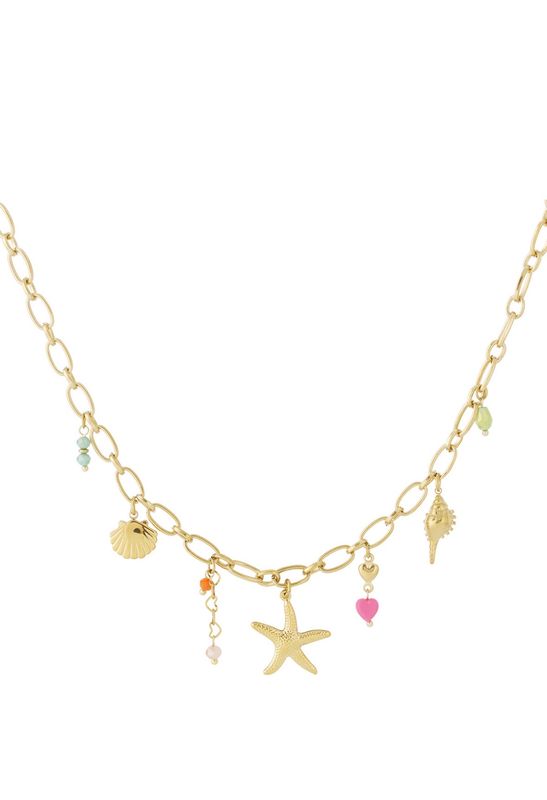 Ketting | Codstal Treasure | Goud | Stainless steel