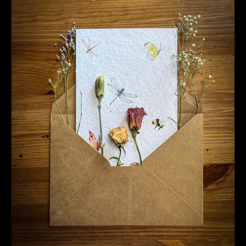 Wildflower - 10 cards