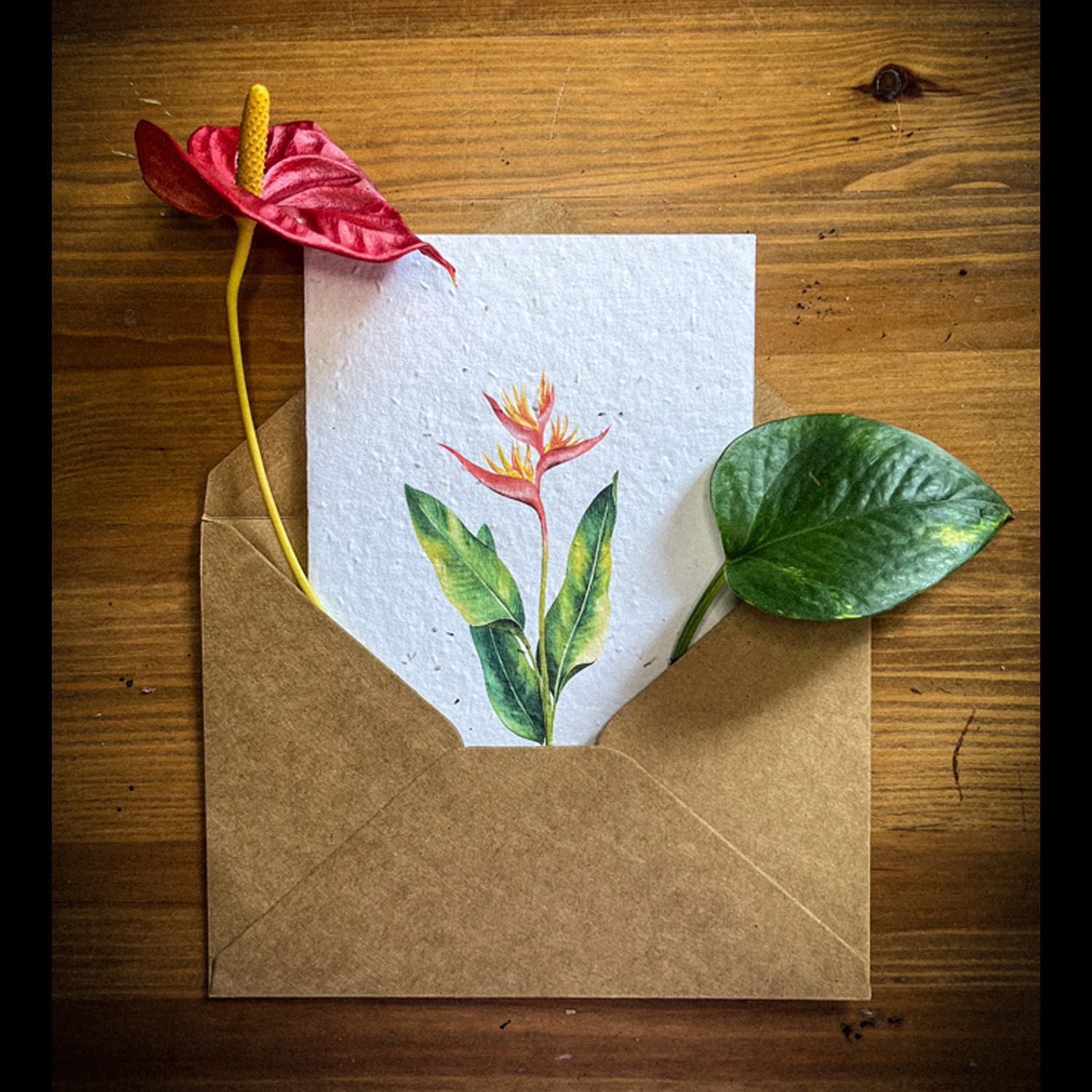 Tropical - 10 cards