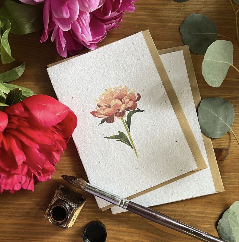 Peonies - 10 small cards