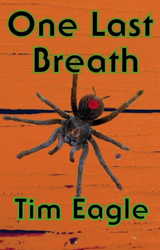 Choose Your  eBook: One Last Breath, Krae, Fury, or Wishes are Horses ($2.50 each)