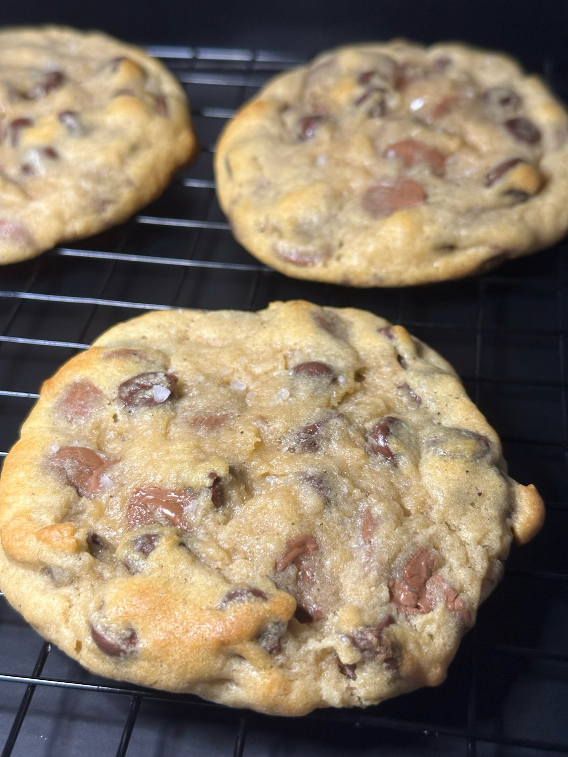 Chocolate Chunk Cookie