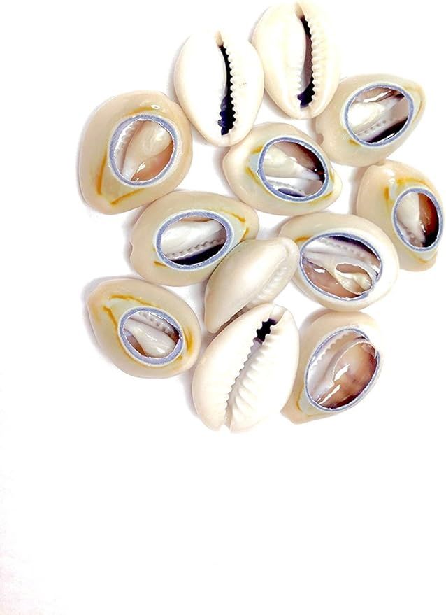 Shell Hair Accessories